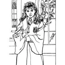 Dessin à colorier: Harry Potter (Films et Séries TV) #69526 - Coloriages à Imprimer Gratuits