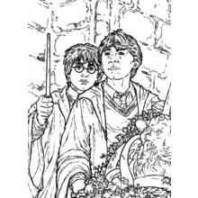Dessin à colorier: Harry Potter (Films et Séries TV) #69545 - Coloriages à Imprimer Gratuits