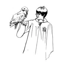 Dessin à colorier: Harry Potter (Films et Séries TV) #69617 - Coloriages à Imprimer Gratuits