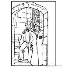 Coloriage Harry Potter (Films et Séries TV) #69646 à imprimer et colorier