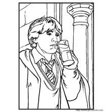 Coloriage Harry Potter (Films et Séries TV) #69649 à imprimer et colorier