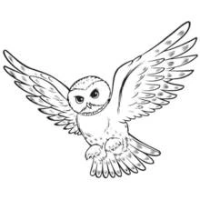 Dessin à colorier: Harry Potter (Films et Séries TV) #69704 - Coloriages à Imprimer Gratuits