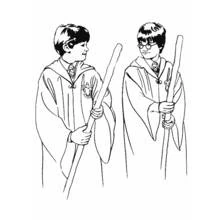 Dessin à colorier: Harry Potter (Films et Séries TV) #69728 - Coloriages à Imprimer Gratuits