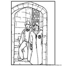 Coloriage Harry Potter (Films et Séries TV) #69736 à imprimer et colorier