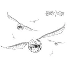 Dessin à colorier: Harry Potter (Films et Séries TV) #69807 - Coloriages à Imprimer Gratuits