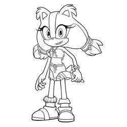 Dessin à colorier: Sonic (Jeux Vidéos) #180850 - Coloriages à Imprimer Gratuits