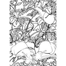 Dessin à colorier: Art Thérapie (Mandalas) #23185 - Coloriages à Imprimer Gratuits