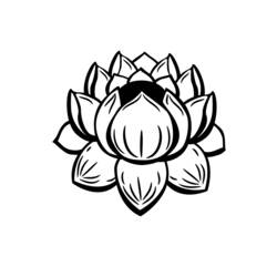 Dessin à colorier: Mandalas Fleurs (Mandalas) #117152 - Coloriages à imprimer