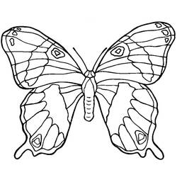 Dessin à colorier: Mandalas Papillon (Mandalas) #117396 - Coloriages à imprimer