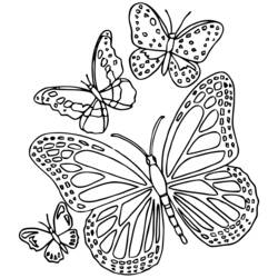 Dessin à colorier: Mandalas Papillon (Mandalas) #117400 - Coloriages à imprimer