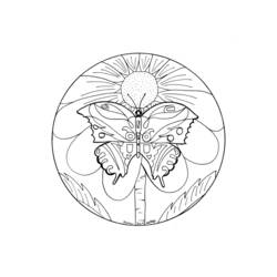 Dessin à colorier: Mandalas Papillon (Mandalas) #117404 - Coloriages à imprimer