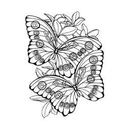 Dessin à colorier: Mandalas Papillon (Mandalas) #117423 - Coloriages à imprimer