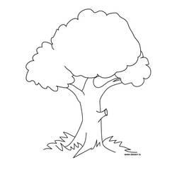 Dessin à colorier: Arbre (Nature et saisons) #154667 - Coloriages à Imprimer Gratuits