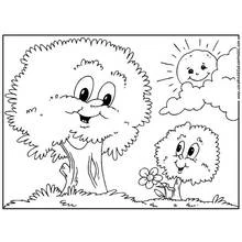 Dessin à colorier: Arbre (Nature et saisons) #154684 - Coloriages à Imprimer Gratuits