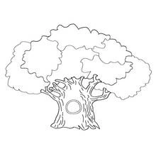 Dessin à colorier: Arbre (Nature et saisons) #154688 - Coloriages à Imprimer Gratuits