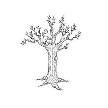 Dessin à colorier: Arbre (Nature et saisons) #154721 - Coloriages à Imprimer Gratuits