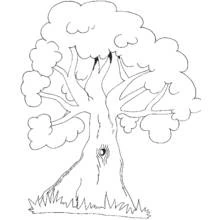 Dessin à colorier: Arbre (Nature et saisons) #154736 - Coloriages à Imprimer Gratuits