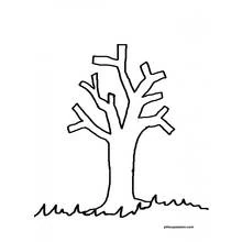 Dessin à colorier: Arbre (Nature et saisons) #154737 - Coloriages à Imprimer Gratuits