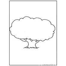 Dessin à colorier: Arbre (Nature et saisons) #154782 - Coloriages à Imprimer Gratuits