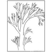 Dessin à colorier: Arbre (Nature et saisons) #154788 - Coloriages à Imprimer Gratuits