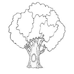 Coloriage Arbre (Nature et saisons) #190435 à imprimer et colorier