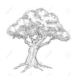 Dessin à colorier: Arbre (Nature et saisons) #190436 - Coloriages à Imprimer Gratuits