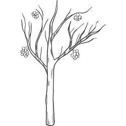 Dessin à colorier: Arbre (Nature et saisons) #190469 - Coloriages à Imprimer Gratuits
