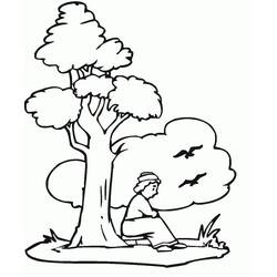 Dessin à colorier: Arbre (Nature et saisons) #190480 - Coloriages à Imprimer Gratuits