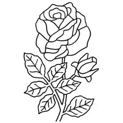 Dessin à colorier: Bouquet de fleurs (Nature et saisons) #160738 - Coloriages à Imprimer Gratuits