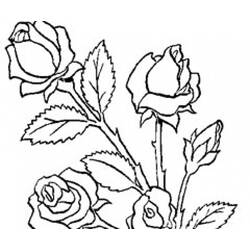 Dessin à colorier: Bouquet de fleurs (Nature et saisons) #160747 - Coloriages à Imprimer Gratuits