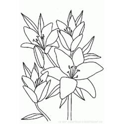 Dessin à colorier: Bouquet de fleurs (Nature et saisons) #160788 - Coloriages à Imprimer Gratuits