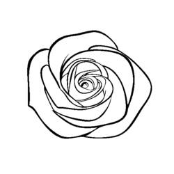 Dessin à colorier: Bouquet de fleurs (Nature et saisons) #160841 - Coloriages à Imprimer Gratuits