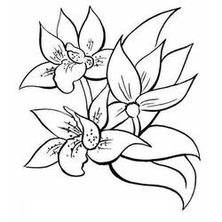 Dessin à colorier: Bouquet de fleurs (Nature et saisons) #160860 - Coloriages à Imprimer Gratuits