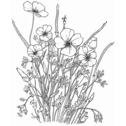 Dessin à colorier: Bouquet de fleurs (Nature et saisons) #160928 - Coloriages à Imprimer Gratuits