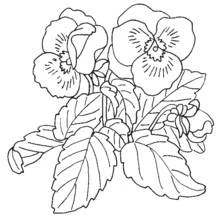 Coloriage Bouquet de fleurs (Nature et saisons) #160960 à imprimer et colorier