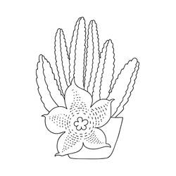 Dessins à colorier: Cactus - Coloriages à Imprimer Gratuits
