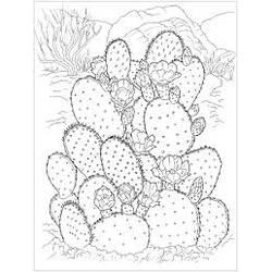 Dessin à colorier: Cactus (Nature et saisons) #170823 - Coloriages à Imprimer Gratuits