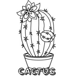 Dessin à colorier: Cactus (Nature et saisons) #170825 - Coloriages à Imprimer Gratuits