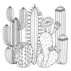 Dessin à colorier: Cactus (Nature et saisons) #170836 - Coloriages à Imprimer Gratuits