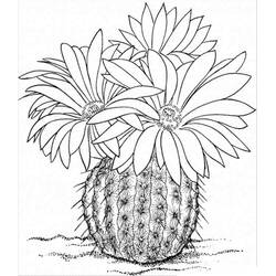Dessin à colorier: Cactus (Nature et saisons) #170838 - Coloriages à Imprimer Gratuits