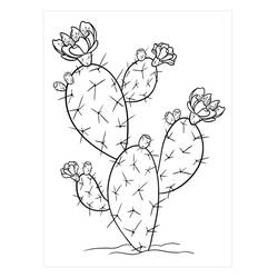 Dessin à colorier: Cactus (Nature et saisons) #170850 - Coloriages à Imprimer Gratuits