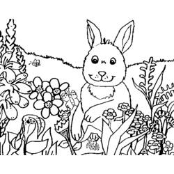 Dessin à colorier: Campagne (Nature et saisons) #165713 - Coloriages à Imprimer Gratuits
