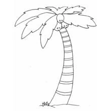Dessin à colorier: Cocotier (Nature et saisons) #162115 - Coloriages à Imprimer Gratuits