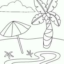Dessin à colorier: Cocotier (Nature et saisons) #162166 - Coloriages à Imprimer Gratuits