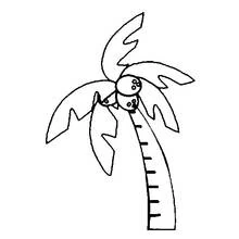 Dessin à colorier: Cocotier (Nature et saisons) #162285 - Coloriages à Imprimer Gratuits