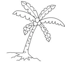 Dessin à colorier: Cocotier (Nature et saisons) #162366 - Coloriages à Imprimer Gratuits