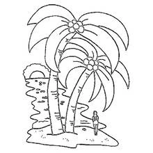 Dessin à colorier: Cocotier (Nature et saisons) #162367 - Coloriages à Imprimer Gratuits
