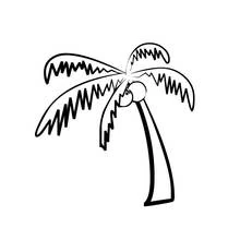 Dessin à colorier: Cocotier (Nature et saisons) #162369 - Coloriages à Imprimer Gratuits