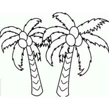 Dessins à colorier: Cocotier - Coloriages à Imprimer Gratuits