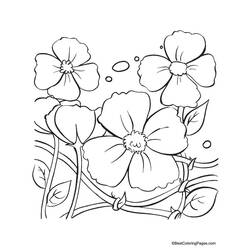 Dessin à colorier: Coquelicot (Nature et saisons) #162431 - Coloriages à Imprimer Gratuits